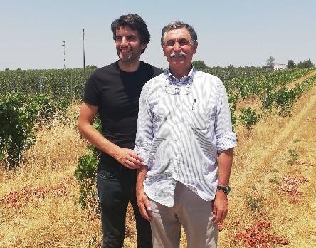 ACV Vinhos de Tallha