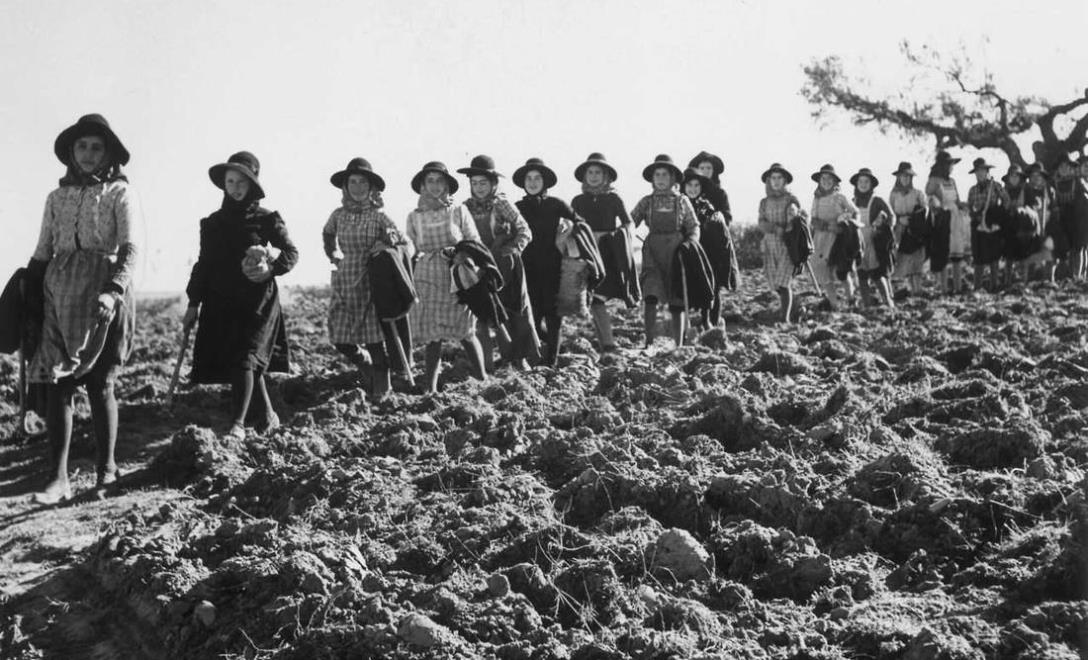 O clima e a paisagem