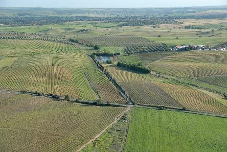 Vinhas das Cortes de Cima