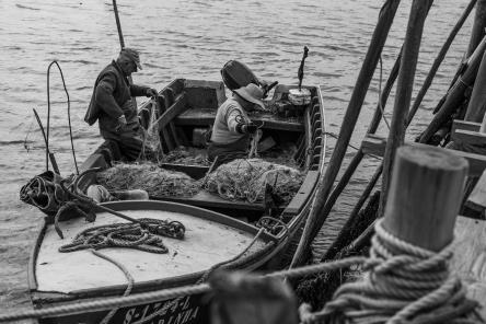 porto da carrasqueira