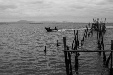 porto da carrasqueira