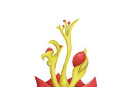 A invisível estrutura do visível