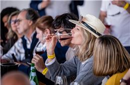 Vinho na Vila regressa a Vila Alva