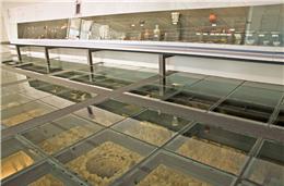 Rede de Museus: Núcleo Museológico da Rua do Sembrano