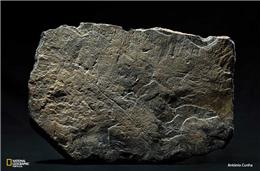 Que a memória se estenda para além das nossas vidas