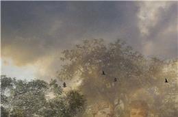 Morreu em Roma, foi lembrado aqui