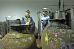 A Adega Marel preserva a tradição dos vinhos de Amareleja com os olhos no futuro