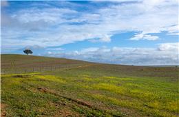 Só em 2026 se saberá se o Alentejo sai prejudicado com mudança das NUTS