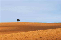 “Qualidade e maturidade” no 2030