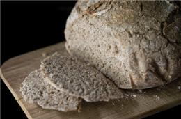 Tempos de pandemia pela objetiva fotógrafos de Beja