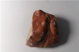 De Mértola para o mundo: a Ariadne ‘Mirtilensis’