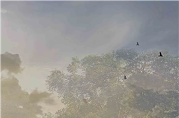 O senhor rico daquela Herdade