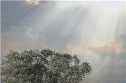 Uma carga de trabalhos!