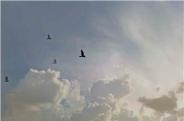 Onde os barris são sepulcros romanos!