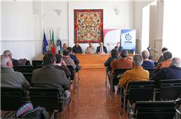 Associação quer “dar voz” às PME e a trabalhadores do Alentejo e de Huelva