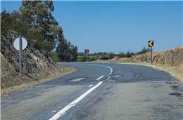 IP registou 1539 animais atropelados em 2023