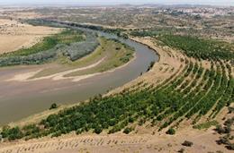 Alqueva revela maior bosque ripícola de Portugal