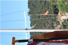 Bruno Afonso (CN Mértola) persegue sonho olímpico