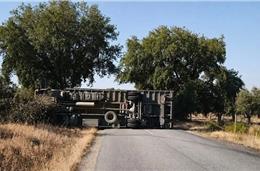 Perigosidade da EN257 indigna autarca de Alvito
