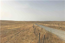 Agricultores do Campo Branco pedem ajuda financeira “urgente”