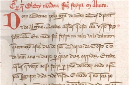 Rede de Arquivos: Carta de D. Dinis mandando fazer feira na vila de Alvito