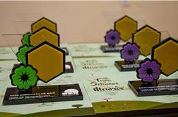 Abertas inscrições para o XXIX Concurso de Méis da Região de Moura