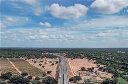 Câmara de Beja solicita lançamento  da A26 até ao final do primeiro semestre