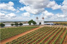 O grupo Abegoaria ambiciona ser grande e continuar a crescer no setor dos vinhos