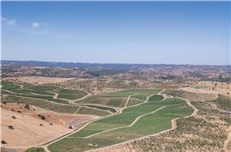 Do chá ao vinho: uma brisa inglesa nas terras quentes de Almodôvar