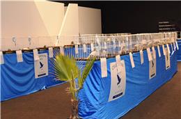 Beja recebe 2.ª Feira Ibérica de Columbofilia