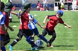 Beja Cup 2019 regressa aos relvados