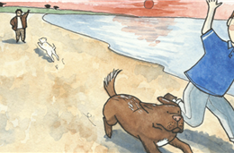 Exposição 'Um Acaso na Praia dos Cinco Reis', na Biblioteca de Beja