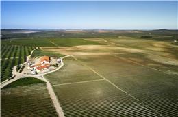 Pias reclama a sua origem através do “Talhão 01”