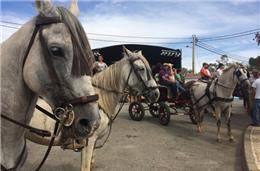 Feira de Vale do Poço, de 13 a 15 de setembro