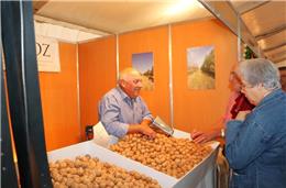 Feira dos Santos e Frutos Secos regressa A Alvito