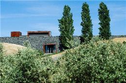 Um companheiro para o marisco da costa alentejana