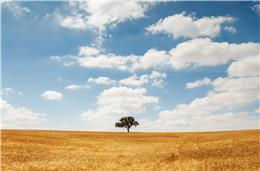 Saúde e acessos são as principais áreas que preocupam os políticos neste ano