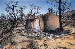 Incêndio de Odemira provocou  prejuízos de 15 milhões de euros