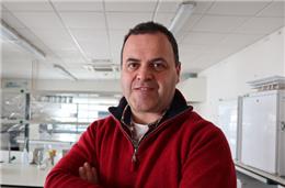 “A aplicação da IA faz já parte do nosso quotidiano, o que facilita a compreensão da importância da sua introdução neste setor.