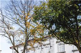 Orçamento da Câmara  de Beja com 87 milhões  para 2026