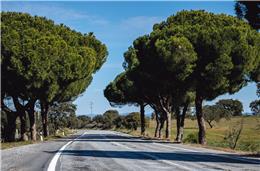 IP reabilita estradas do distrito no valor de 2,8 milhões de euros