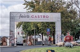 A “maior feira do Sul” está de regresso a Castro Verde