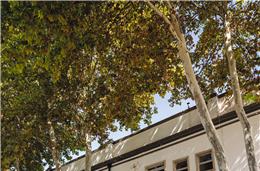 Processo de revitalização da Misericórdia de Serpa já foi homologado pelo tribunal