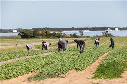 Solim considera imprescindível investigar e culpabilizar proprietários das herdades