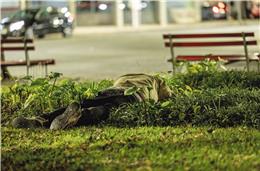 Identificados 1204 casos em dezembro de 2024, menos 156 comparativamente ao ano transato, segundo inquérito nacional