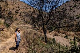 Proprietários de terrenos atingidos pelo incêndio de Odemira aguardam criação de área integrada de gestão da paisagem