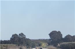 IP preocupada com redução da dotação  inicial para a linha do Alentejo