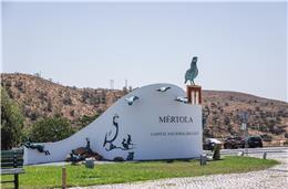 “Capital da Caça” volta  a reerguer-se em Mértola  neste fim de semana