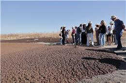 Baixo Alentejo integra consórcio europeu de adaptação às alterações climáticas