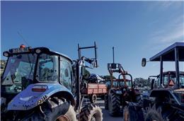 Agricultores querem DRA de volta ao ministério com “urgência”